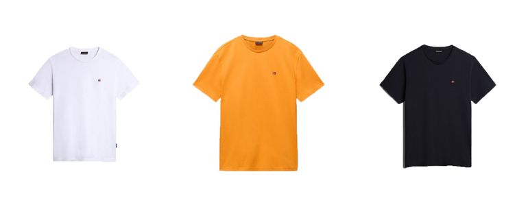 NAPAPIJRI SALIS SS SUM Herren T-Shirt