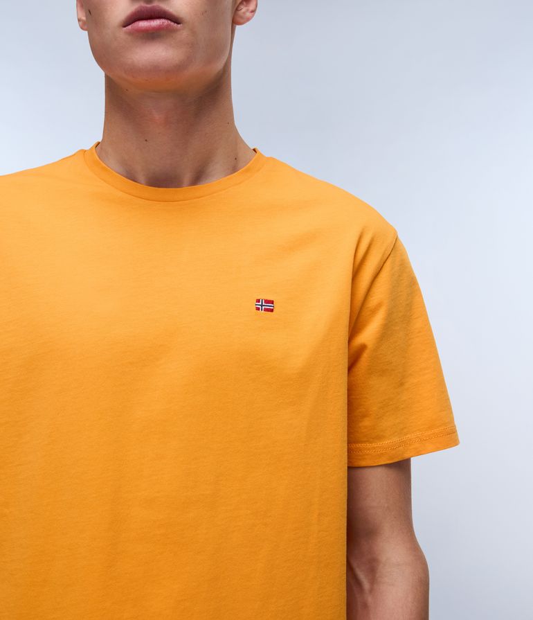 NAPAPIJRI SALIS SS SUM Herren T-Shirt