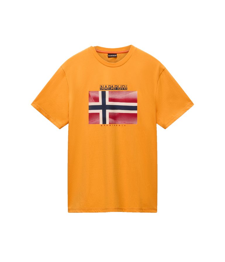 NAPAPIJRI S-LARI SS Herren Logo T-Shirt