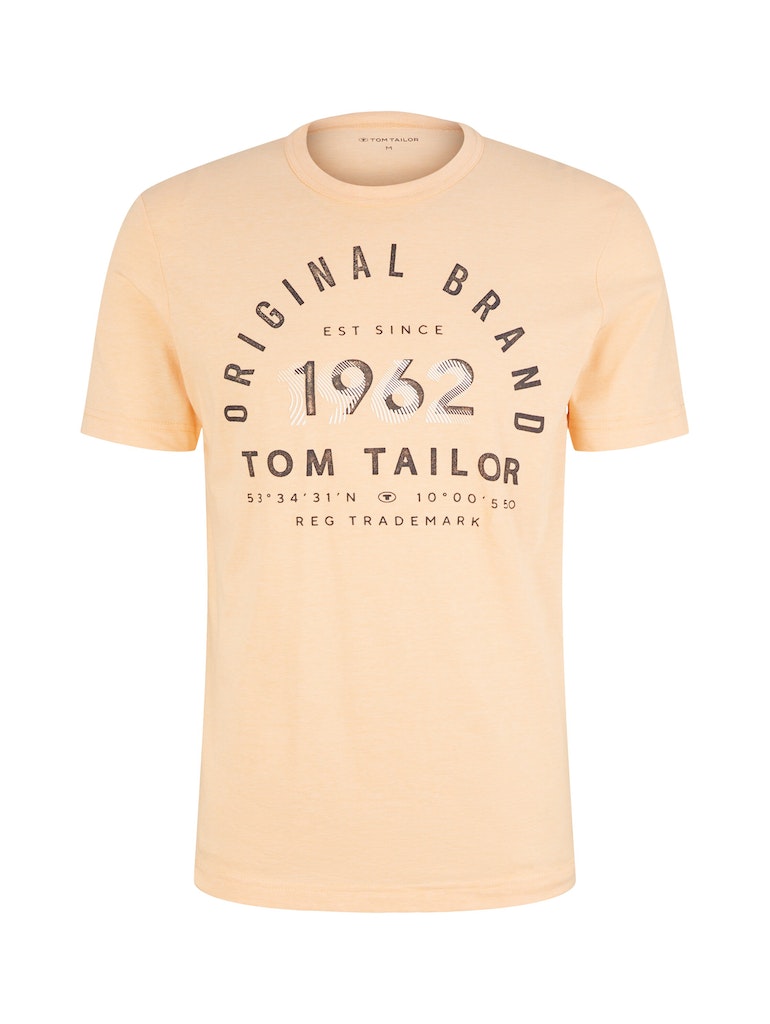 TOM TAILOR STRIPED T-SHIRT WITH PRINT Herren T-Shirt