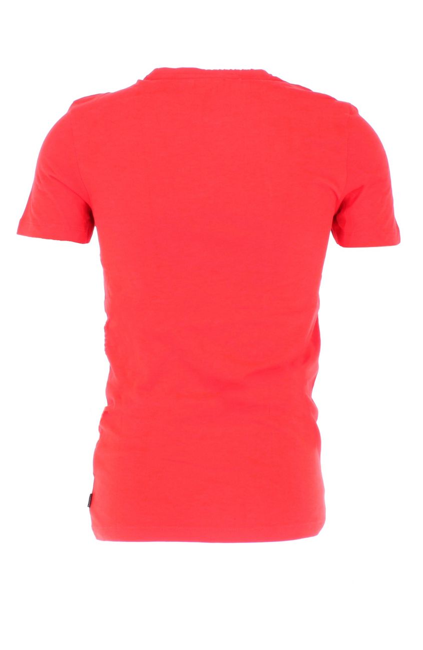 Chiemsee Herren Logo T-Shirt Ottfried - Chiemsee - SAGATOO - 4054583244258