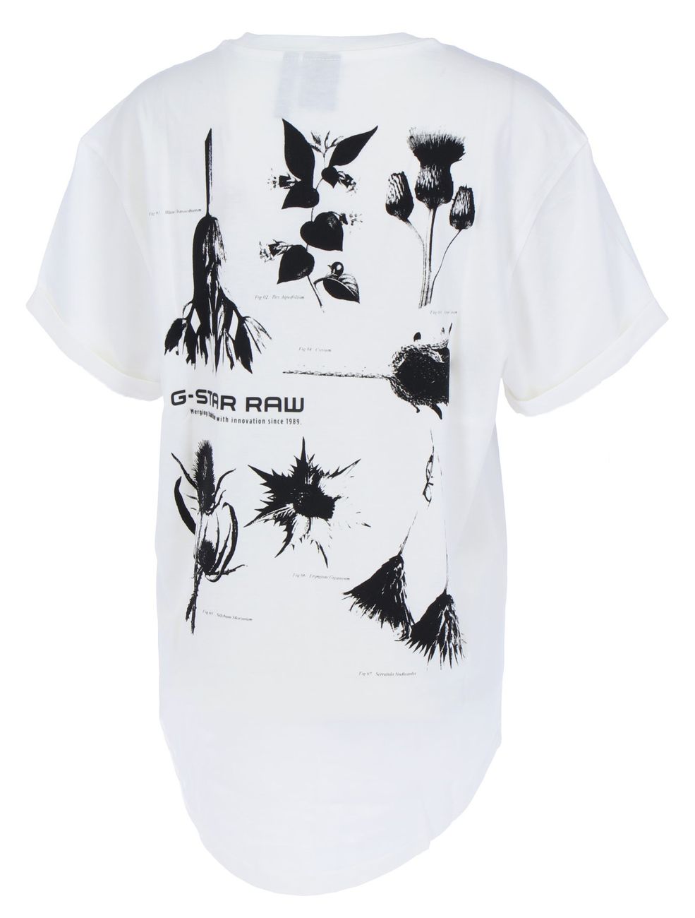 G-STAR RAW DENIM THISTLE GR LASH FEM LOOSE R T S/S Damen T-Shirt - G-Star Raw Denim - SAGATOO - 8719771080280