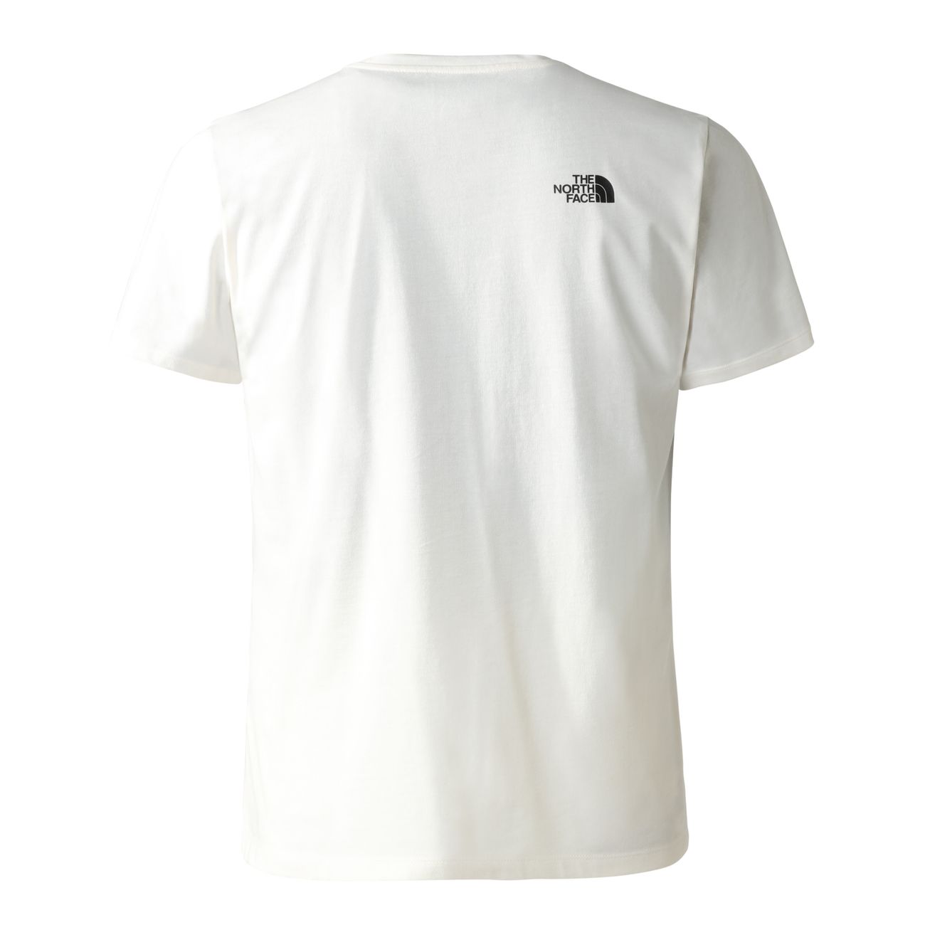 THE NORTH FACE M FOUNDATION GRAPHIC TEE Herren T-Shirt - The North Face - SAGATOO - 196013650599